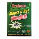 Glue mouse traps
